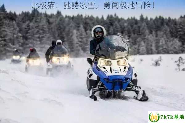 北极猫：驰骋冰雪，勇闯极地冒险！