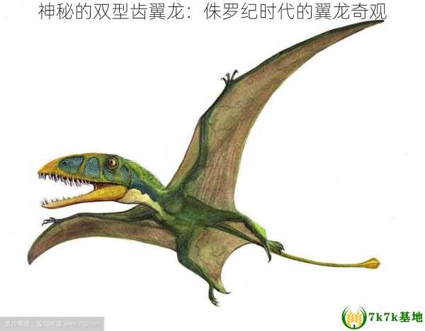 神秘的双型齿翼龙：侏罗纪时代的翼龙奇观