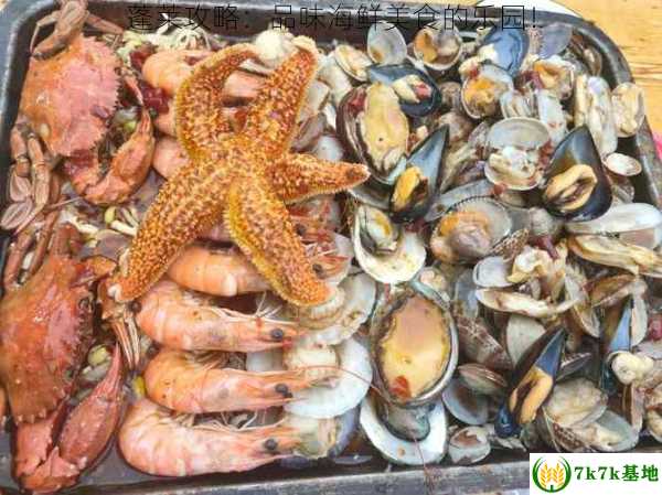 蓬莱攻略：品味海鲜美食的乐园！