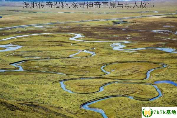 湿地传奇揭秘,探寻神奇草原与动人故事