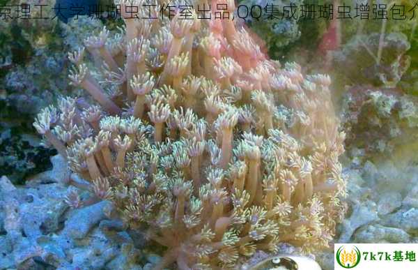北京理工大学珊瑚虫工作室出品,QQ集成珊瑚虫增强包介绍
