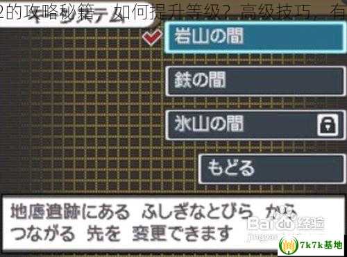 口袋妖怪黑白2的攻略秘籍，如何提升等级？高级技巧，有哪些实战经验？