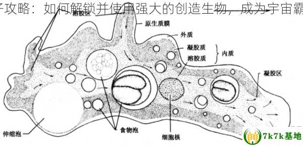 孢子攻略：如何解锁并使用强大的创造生物，成为宇宙霸主？