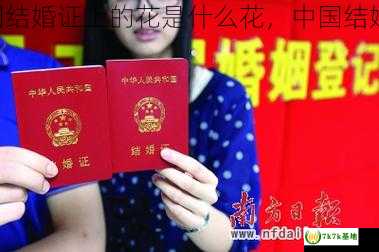 目前我国结婚证上的花是什么花，中国结婚证全称?