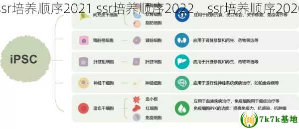 ssr培养顺序2021 ssr培养顺序2022，ssr培养顺序2020