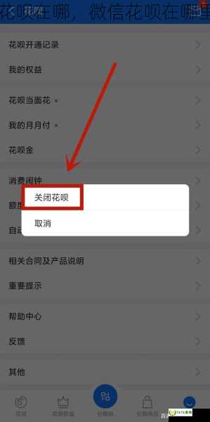 微信花呗在哪，微信花呗在哪里关闭