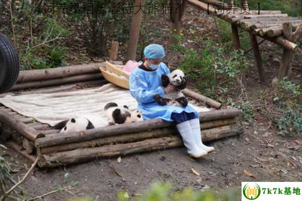 饲养员粗鲁虐待大熊猫？，【饲养员 】