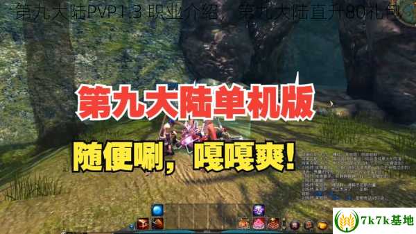 第九大陆PVP1.3 职业介绍，第九大陆直升80礼包