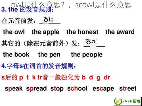 owl是什么意思？，scowl是什么意思