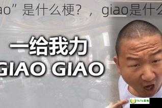 “giao”是什么梗？，giao是什么意思