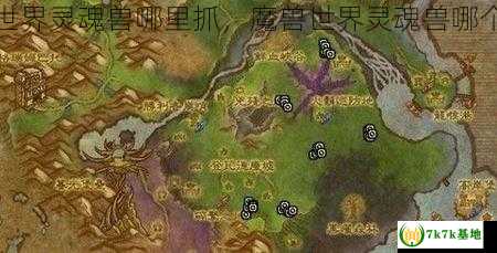 魔兽世界灵魂兽哪里抓，魔兽世界灵魂兽哪个厉害