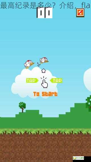 FlappyBird像素鸟最高纪录是多少？介绍，flappybird1官方下载