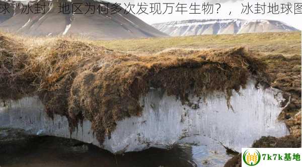 地球“冰封”地区为何多次发现万年生物？，冰封地球图片