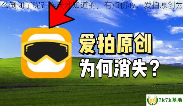 爱拍原创怎么倒闭了呢？昨天才知道的，有点伤心，爱拍原创为什么下架了