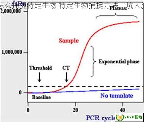 坑人PitPeople怎么捕捉特定生物 特定生物捕捉方法，坑人脑筋急转弯 大全