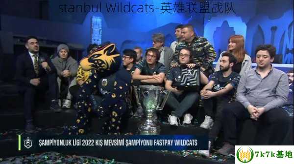 stanbul Wildcats-英雄联盟战队