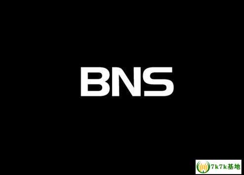 BNS是什么意思，bns网络什么意思