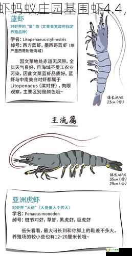 基围虾为什么叫基围虾蚂蚁庄园基围虾4.4，基围虾为什么那么贵