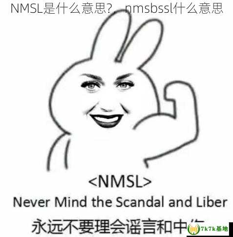 NMSL是什么意思?，nmsbssl什么意思