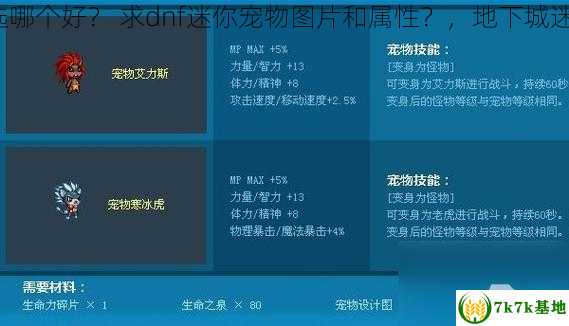 dnf迷你宠物选哪个好？ 求dnf迷你宠物图片和属性？，地下城迷你宠物哪个好